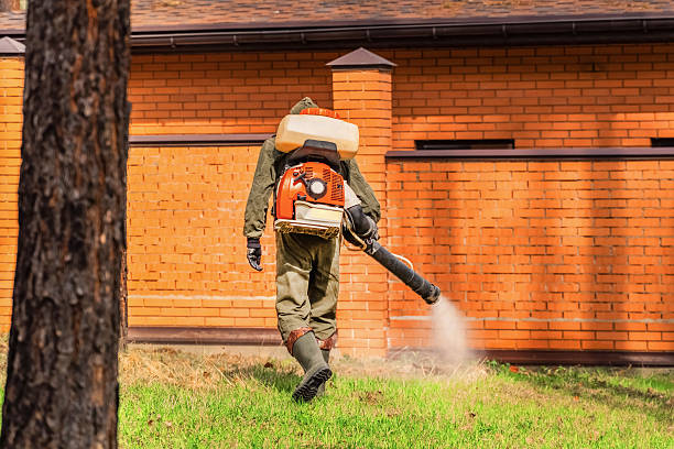 Trusted Rodent Control service in Statesville, NC - Nex Pest Control